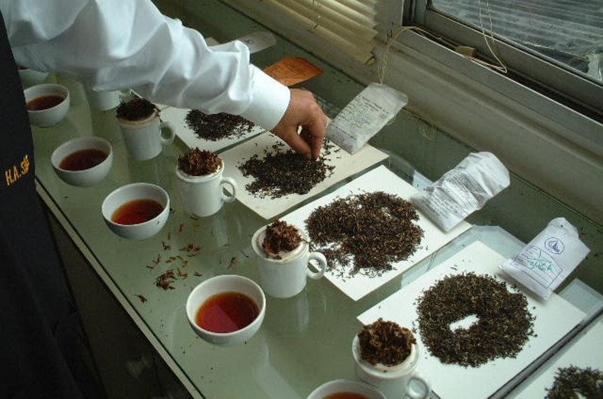 ピュアティーとブレンドティー