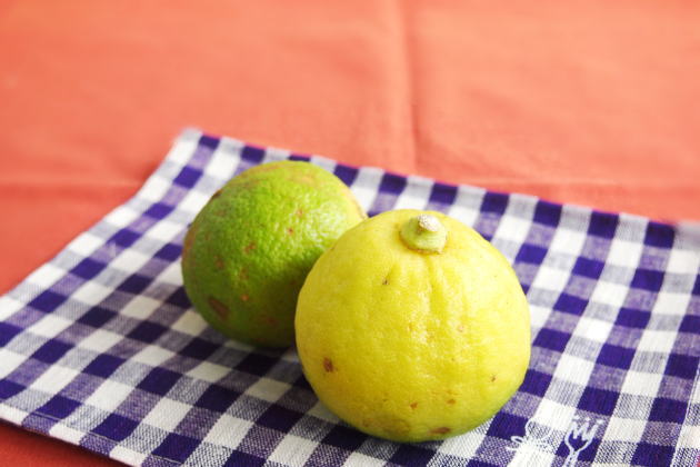 生ベルガモット|紅茶通販ティークラブ