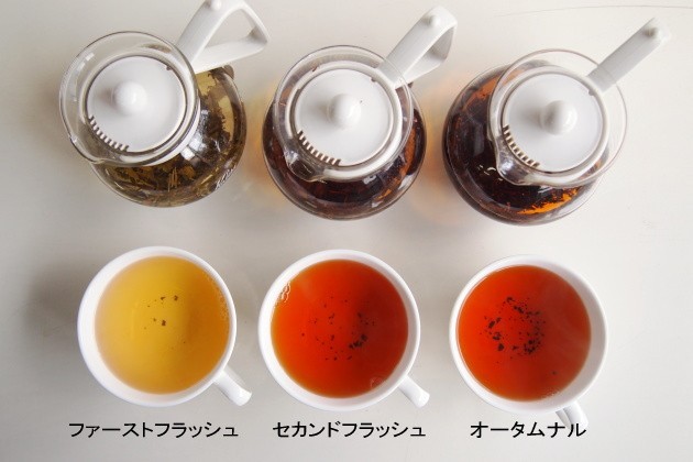 ダージリンティー飲み比べ