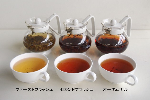 ダージリン飲み比べセット