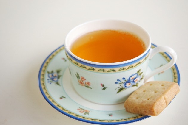 ファーストフラッシュキャッスルトン茶園