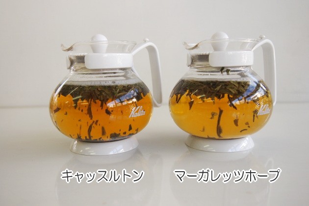 ファーストフラッシュ