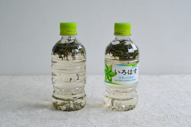 ファーストフラッシュの水出し紅茶