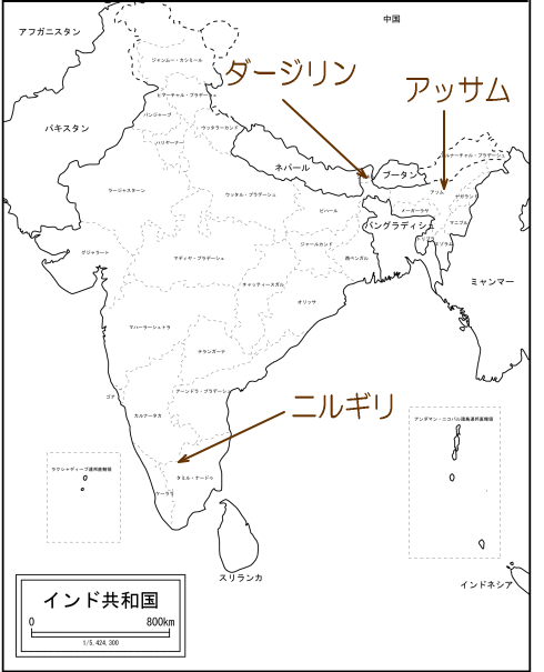 インド紅茶の銘柄