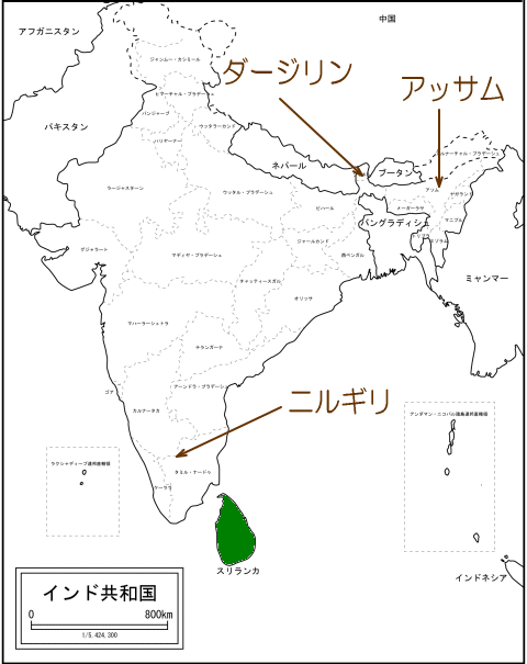 インド紅茶の銘柄