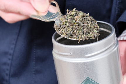 賞味期限が過ぎた紅茶は飲んでも大丈夫なの？味は？