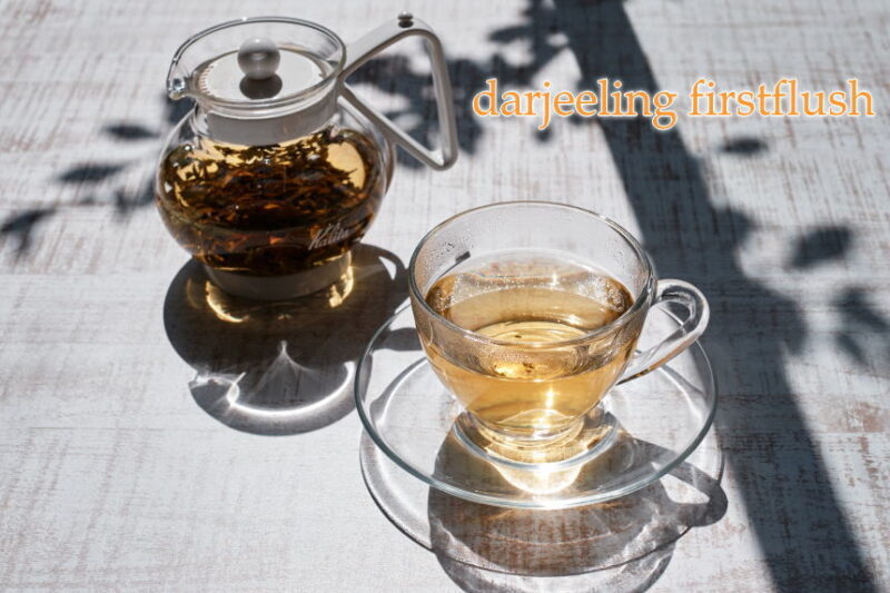 ダージリンファーストフラッシュの特徴