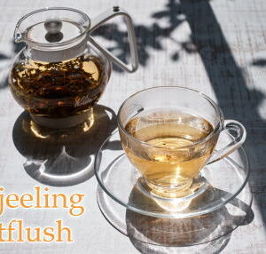 ダージリンファーストフラッシュの特徴