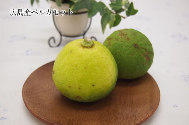広島産ベルガモット