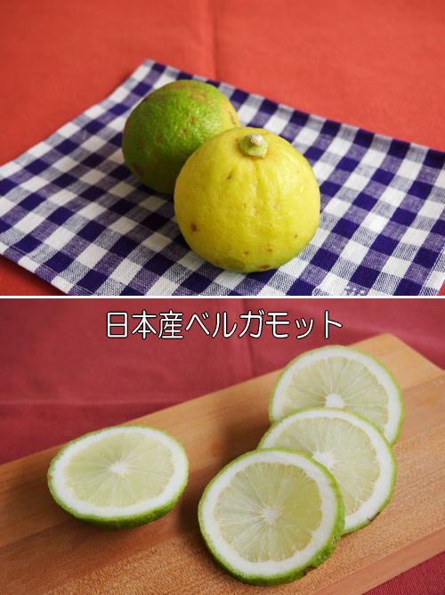 日本産ベルガモット