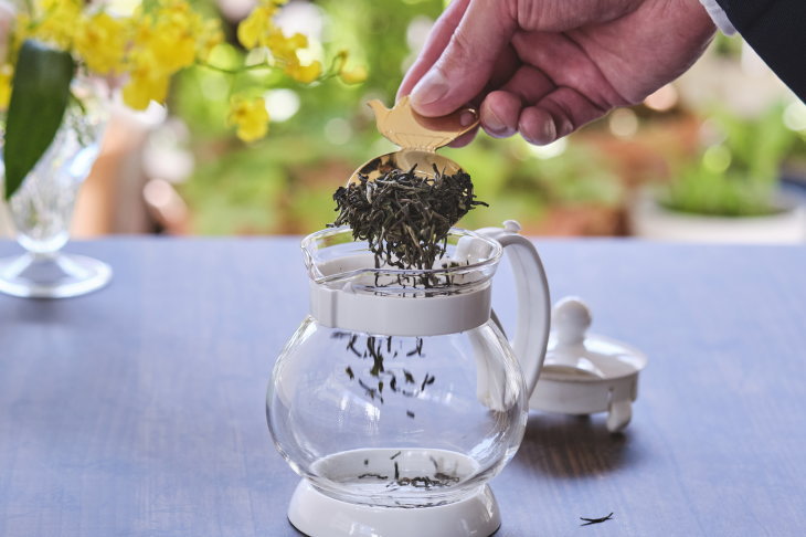 ダージリンファーストフラッシュ2025セリンボン茶園