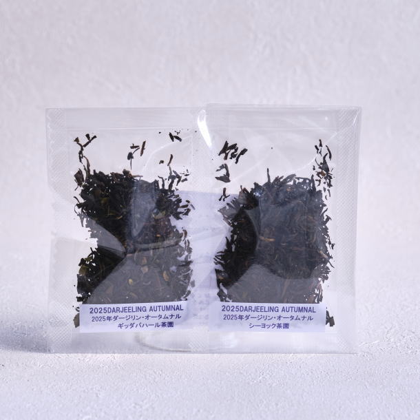 オータムナル2025お試しパック