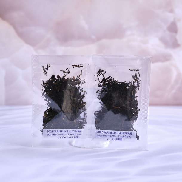 オータムナル2025お試しパック