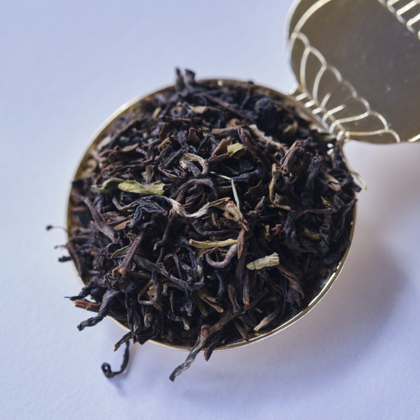 ダージリンオータムナル2025ギッダパハール茶園