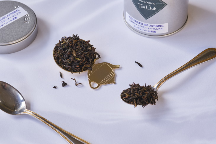 ダージリンオータムナル2025ギッダパハール茶園